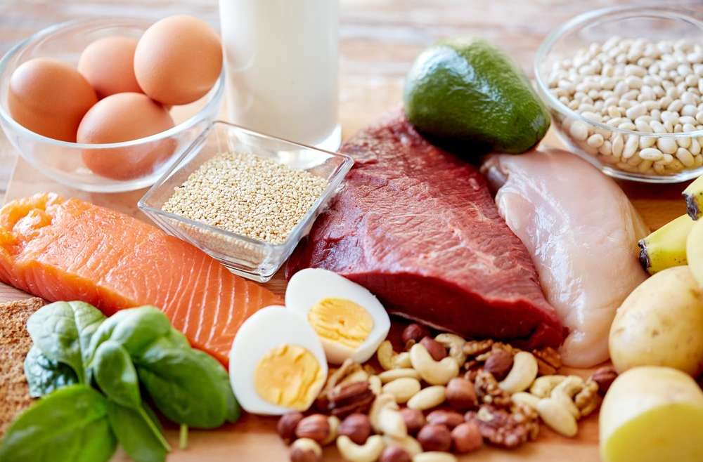 What’s the Obsession with Protein?